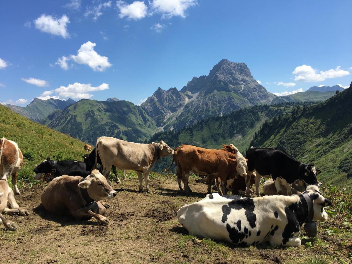 Bergfex Gaisalphorn Mit Sommer-bergbahnticket * Oberstdorf